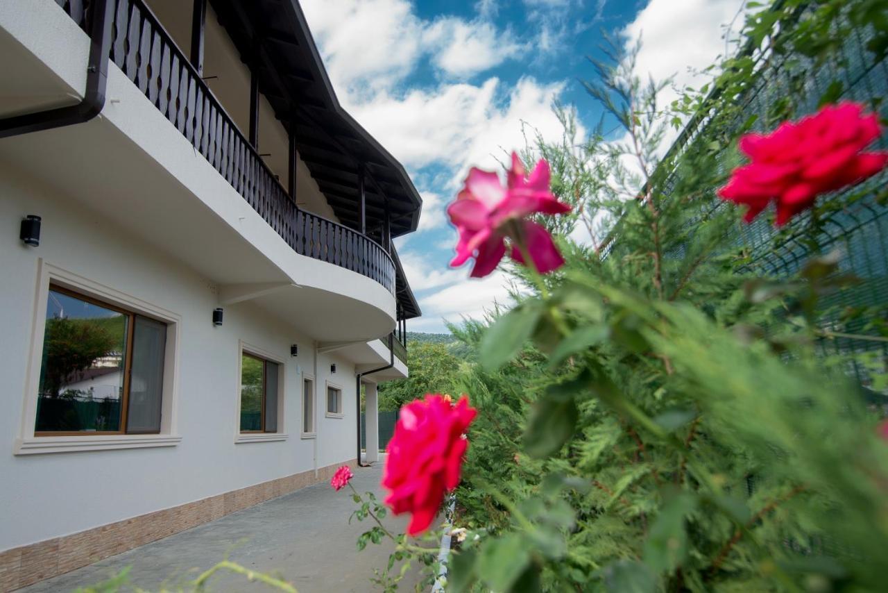 Pensiunea Duet Sărata-Monteoru Exterior foto