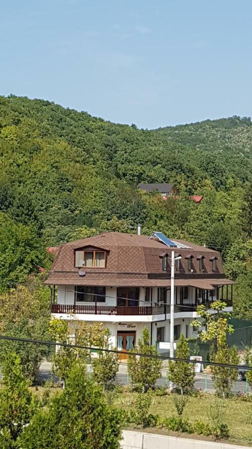 Pensiunea Duet Sărata-Monteoru Exterior foto