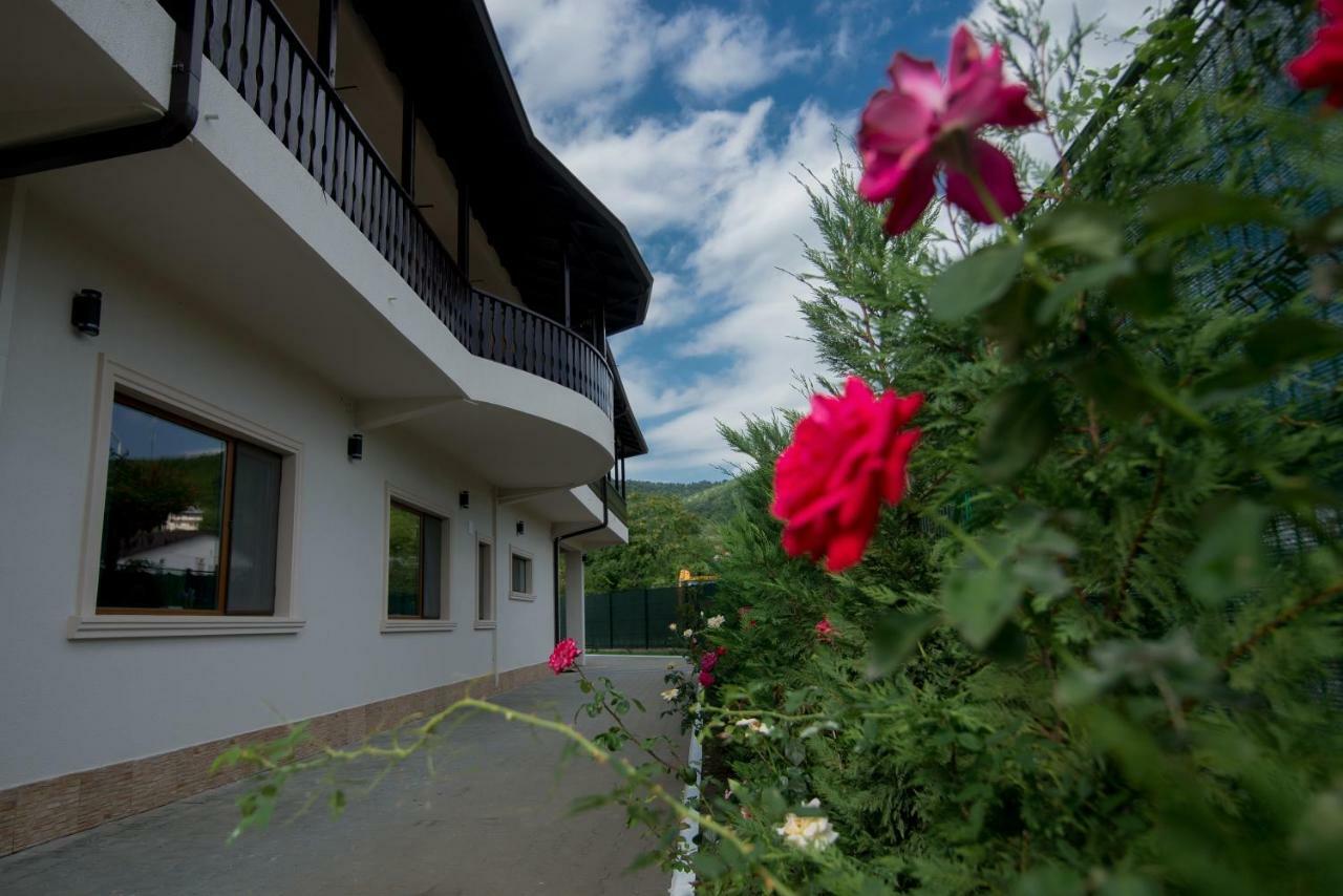 Pensiunea Duet Sărata-Monteoru Exterior foto